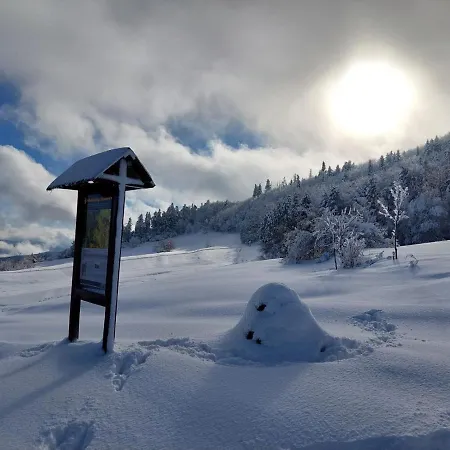 Lila Bee Banska Stiavnica