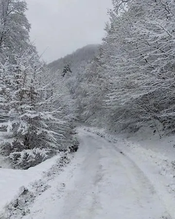 Lila Bee Banská Štiavnica