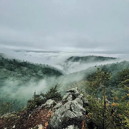Domek alpejski Lila Bee Banská Štiavnica