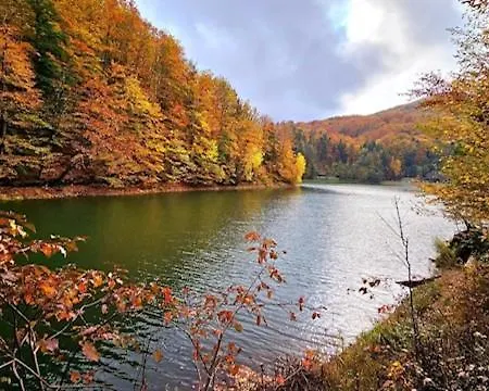 Domek alpejski Lila Bee Banská Štiavnica