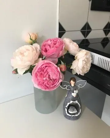 Lila Bee Chalet Banská Štiavnica