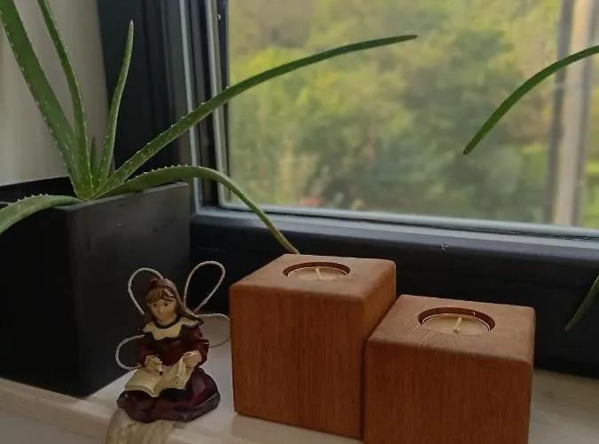 Lila Bee Banská Štiavnica