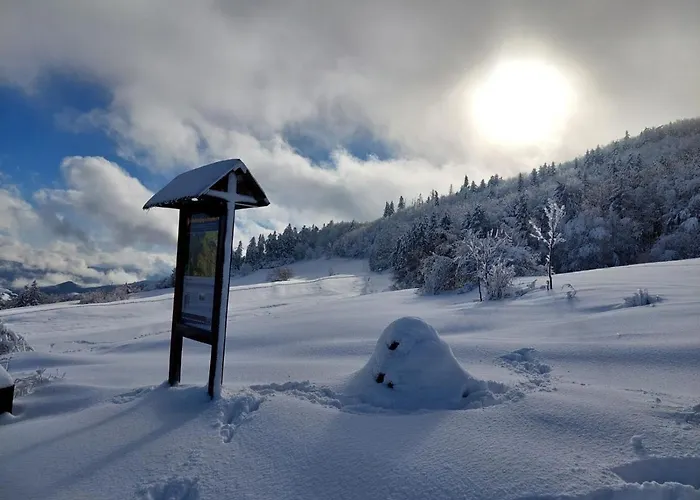 Lila Bee Banská Štiavnica