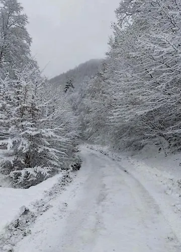 Lila Bee Banská Štiavnica
