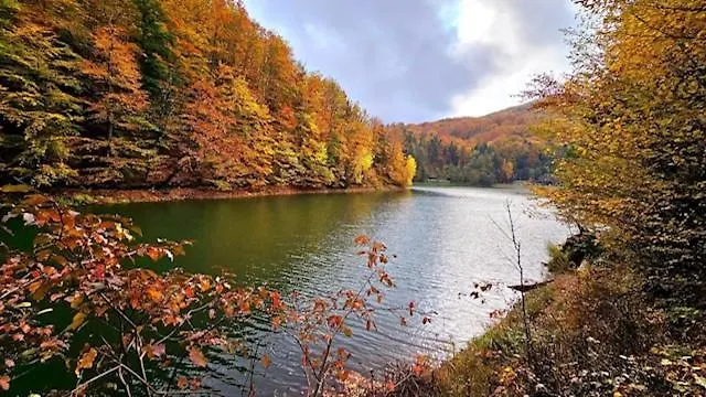 Chalé Lila Bee Banská Štiavnica
